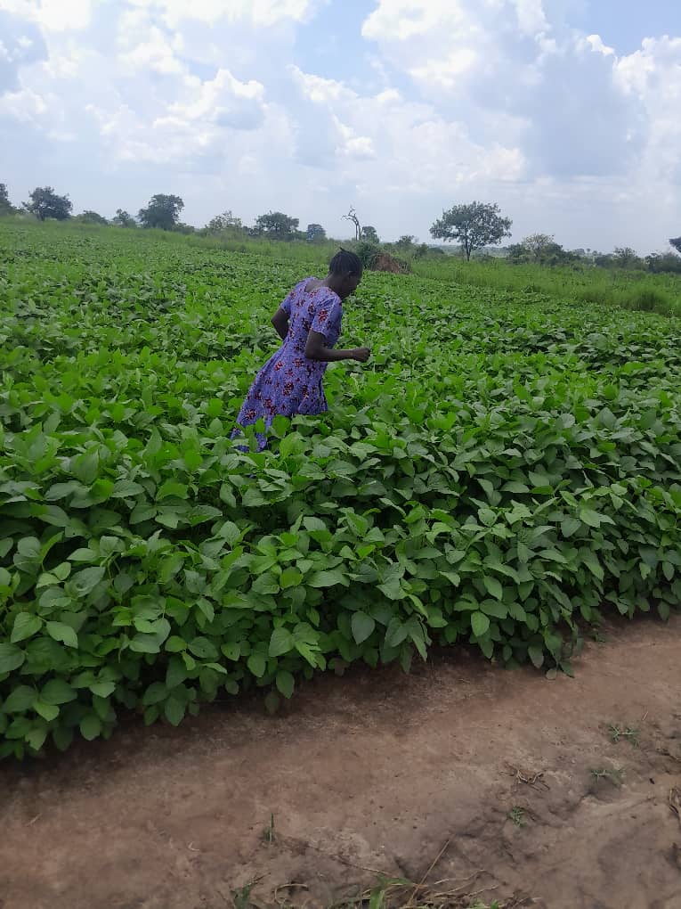 Beneficiaries Garden